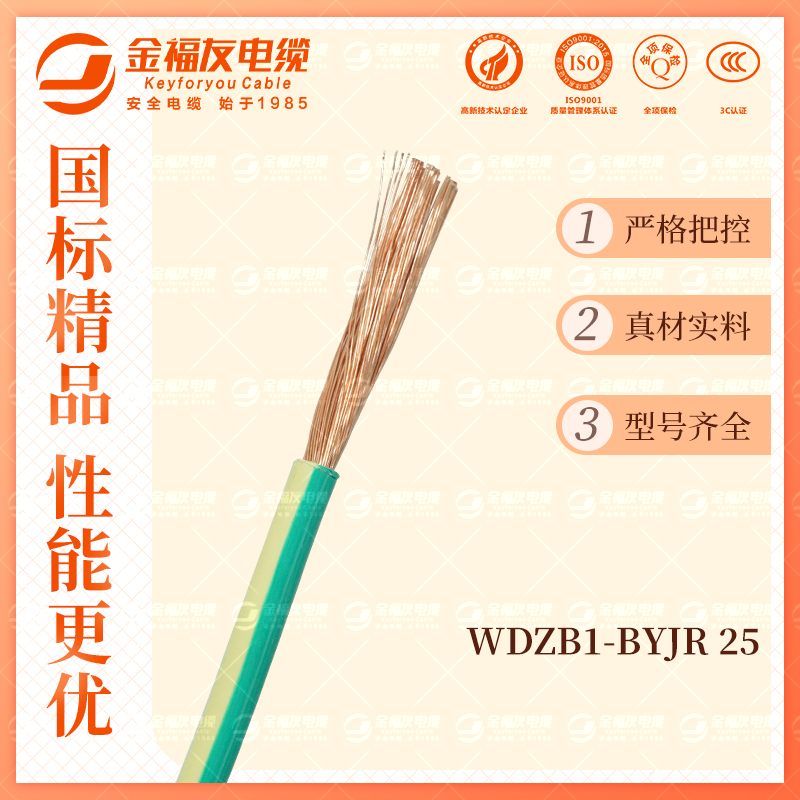 金福友產(chǎn)品-10.9-WDZB1-BYJR-25