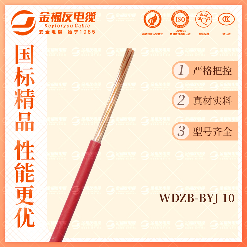 金福友產(chǎn)品-10.9-WDZB-BYJ-10