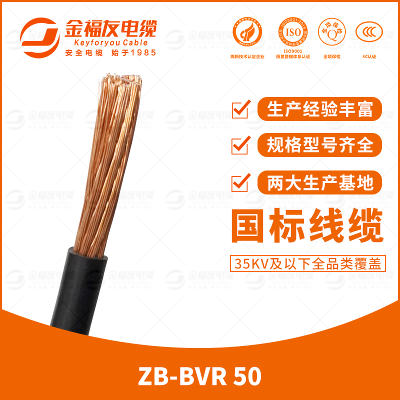 金福友產(chǎn)品-7.17-ZB-BVR-50